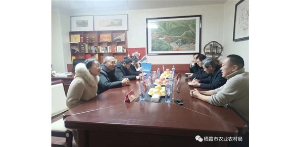 省農業(yè)農村廳檢查組來(lái)我市開(kāi)展農業(yè)標準化生產(chǎn)基地檢查驗收